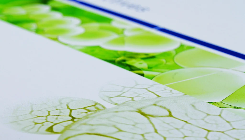 Rahn_B_01_desktop_20220512_g_msr