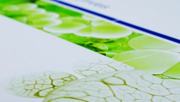 Rahn_B_01_desktop_20220512_g_msr