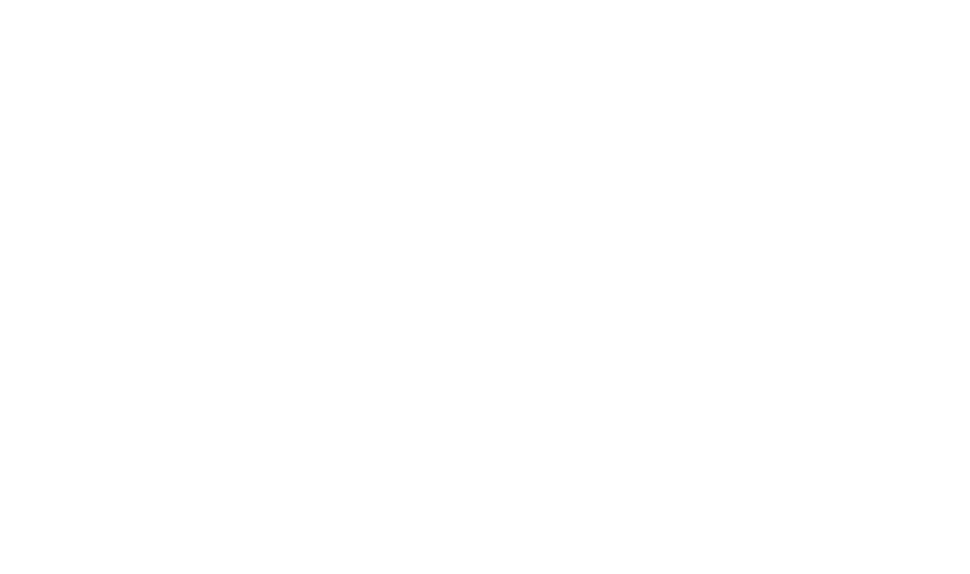 kundenlogo_tagesanzeiger